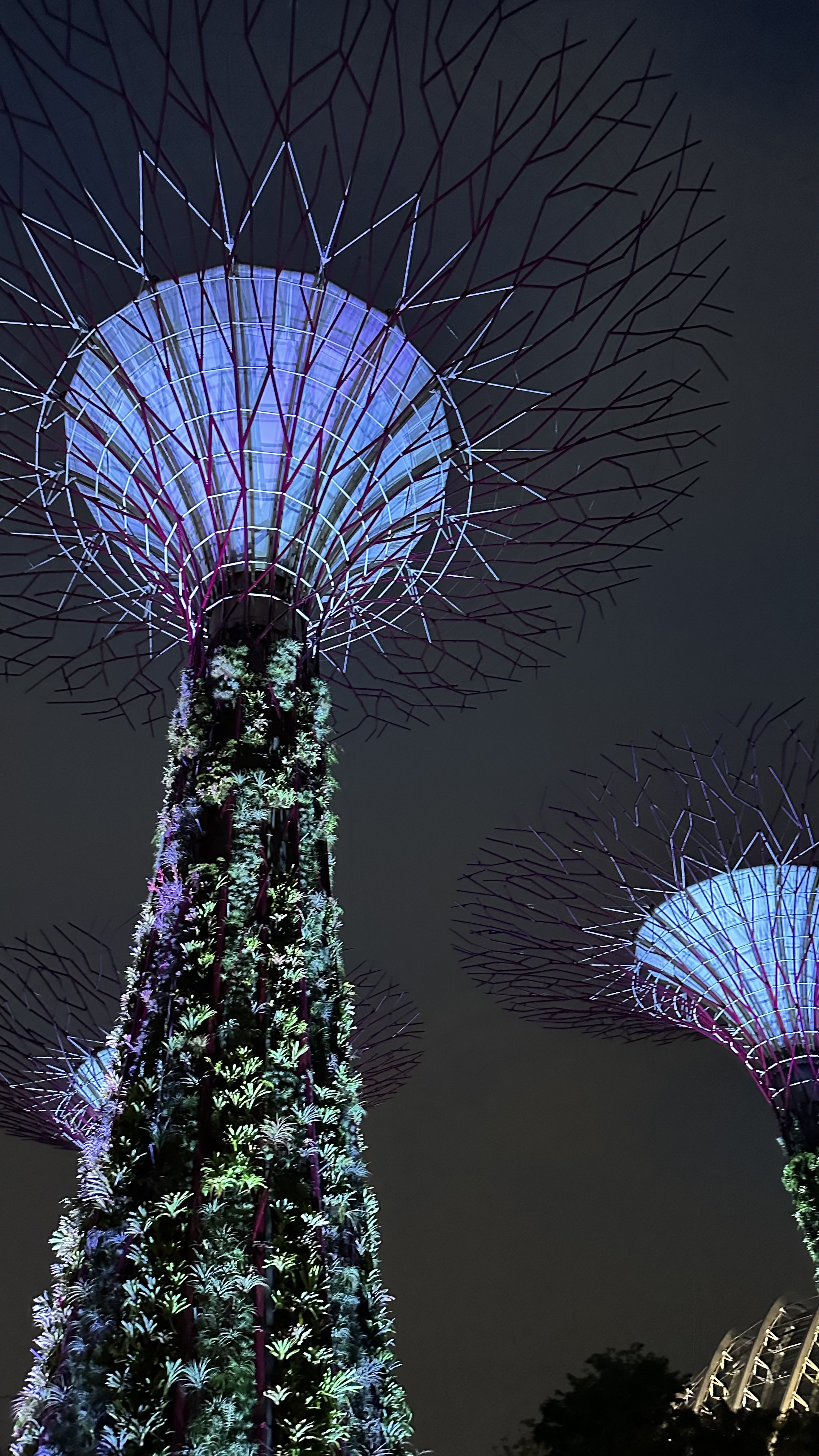 Gardens by the Bay · Singapore